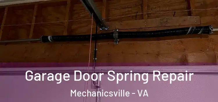  Garage Door Spring Repair Mechanicsville - VA