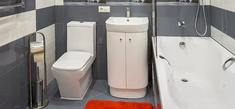 Hansgrohe Shaving Mirror Mechanicsville